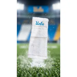 UCLA Bruins Towel