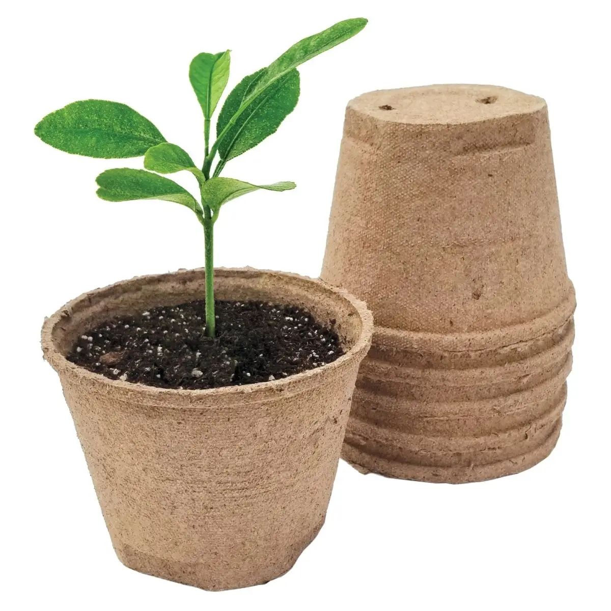 Jiffy-Pots 5-in Organic Peat Planting Pots - Outdoor Garden Accessories with Root Protection for Home Improvement Nursery Use