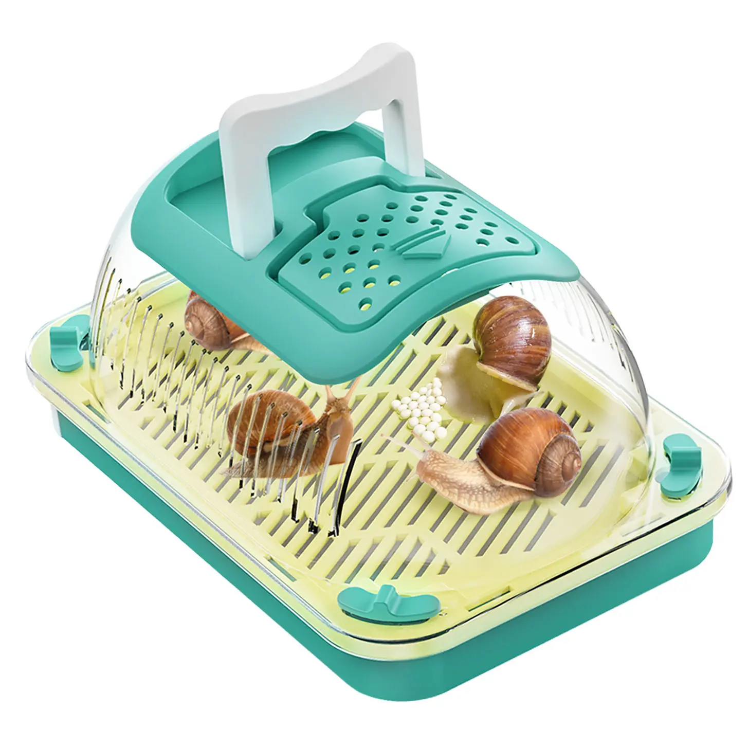 Snail Terrariums Breeding Box, Rectangle Habitat Tank Kit, Acrylic Terrarium with Basking Platform and Handle, Transparent Snail Feeding Box, 360-Degree Observation