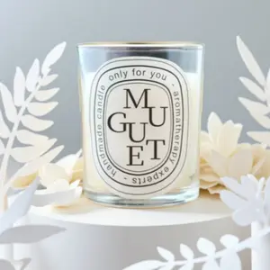 Hot Fragrance Scented Candle Floral Candle Romantic Gift Transparent Jar Aromatic Candles Light Home Fragrance Decor for Wedding Guest Decoration