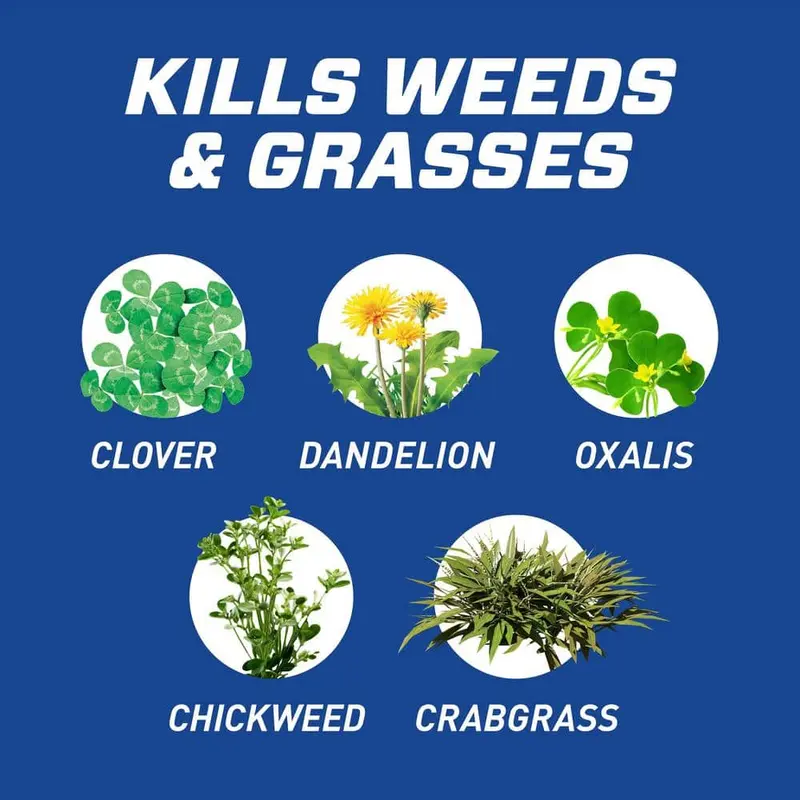 crabgrass killer herbicide Q4 Plus Turf Herbicide 1 QT
