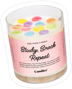 STUDY SNACK REPEAT FLAMELESS WAX MELT
