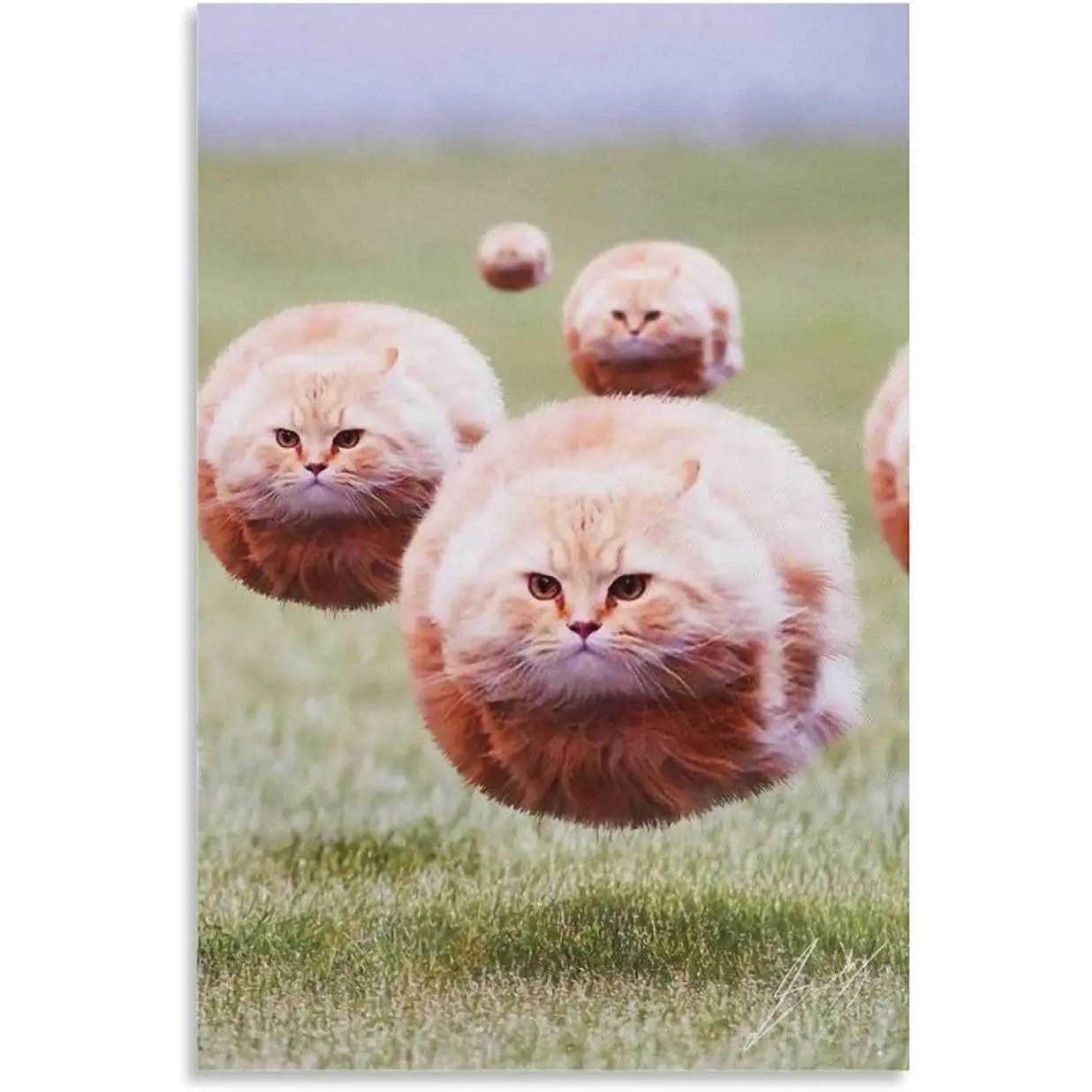 Unframed Canvas Painting - Ball Cat Poster, Funny Cute Chubby Furry Animal Room Aesthetic, Cool Wall Decor, Home Canvas Print for College Dorm, Apartment, Teen Girl, Kids Room 12x18 Inch (Unframed) Gifts Decoration Colorful Ornaments Photo Artistic