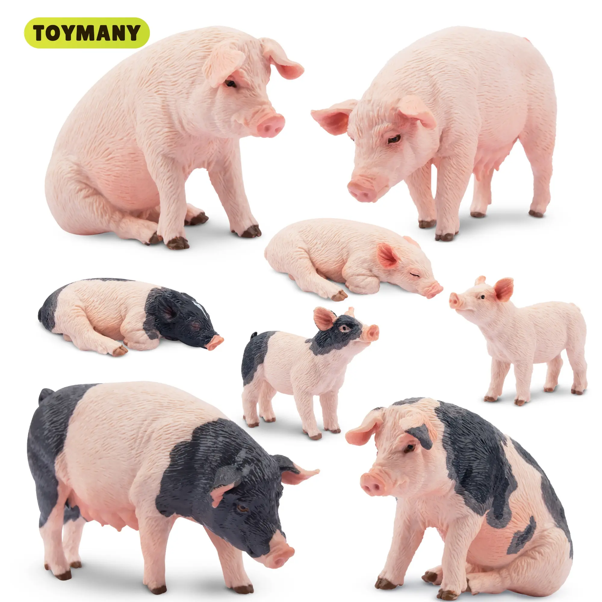 TOYMANY 8-Piece Realistic PVC Simulated Animal Action Figure Set - Set Figures, 315 / 11.1 Oz, 1 Male Grey Pig, Unisex Kids Age 3+ Gift (Birthday, Christmas) for Realistic Pigs Spark Imaginative Play, Simulated Animal Model