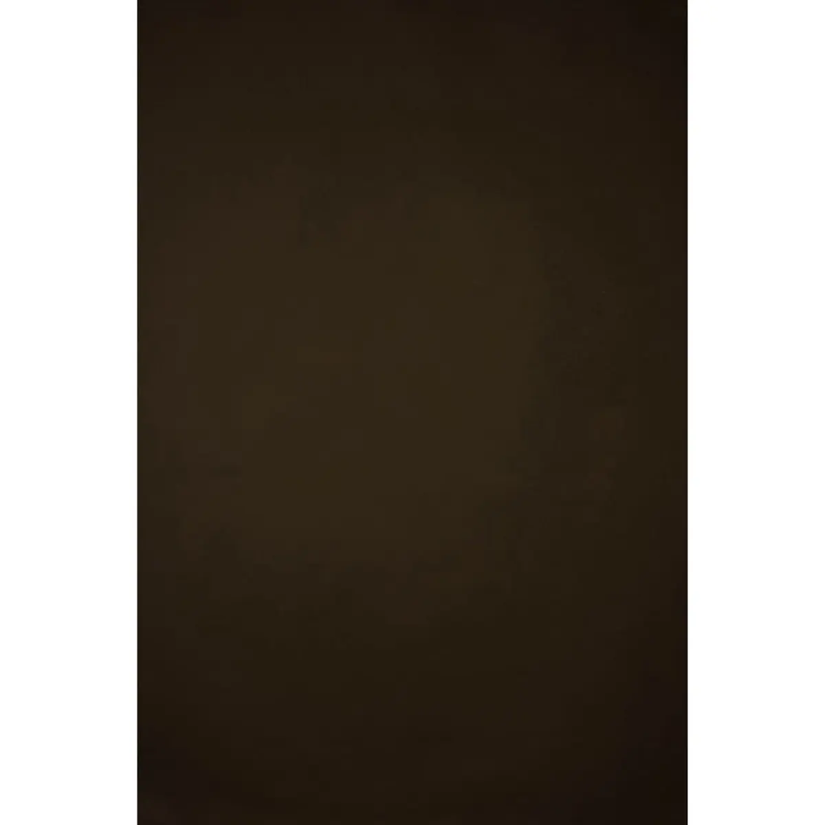 Gravity Backdrops Italian Cotton Hand-Painted Classic Collection Canvas Mid-Texture Artwork Photo Backdrop, 8.9x16.4 ft, Brown