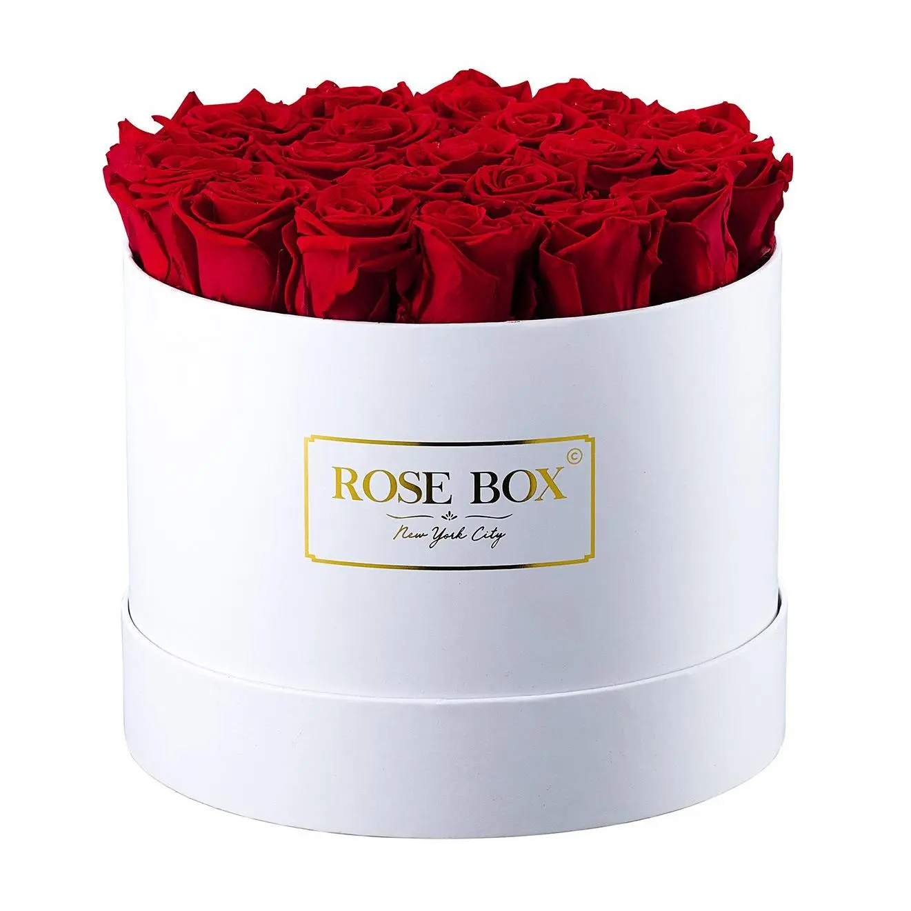 Rose Box Preserved Roses - Medium White Box Rose Box Preserved Roses - Medium White Box
