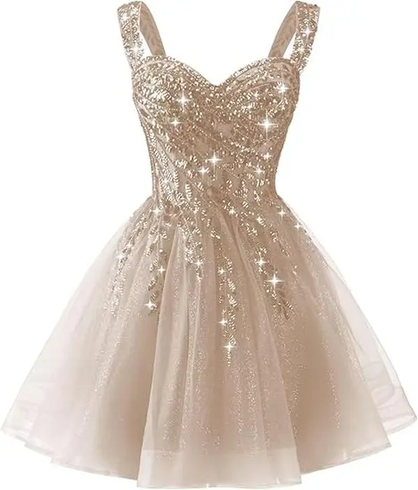 Homecoming, Cocktail, Birthday, Date Night – Sparkly Tulle A-Line Dress with Corset, Sequin Lace Appliques