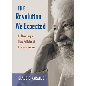 The Revolution We Expected: Cultivating a New Politics of Consciousness