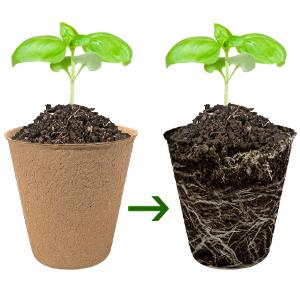 40Pcs 3.15 Inch Peat Pots, Biodegradable Eco-Friendly Round Plant Seedling Starters Kit, Seed Germination Trays with 10 Labels for Flower Vegetable Tomato Saplings & Herb Germination, Khaki