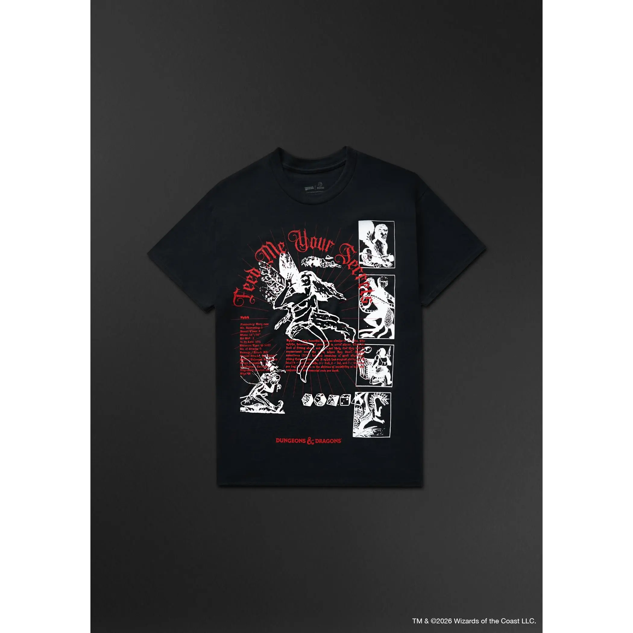 Dungeons and Dragons Secrets Graphic T-Shirt