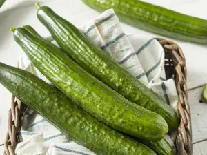 English Telegraph Improved Burpless Cucumber (English Cucumber) Seeds