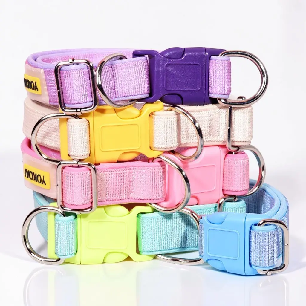 The Astor Heavy-Duty Collar