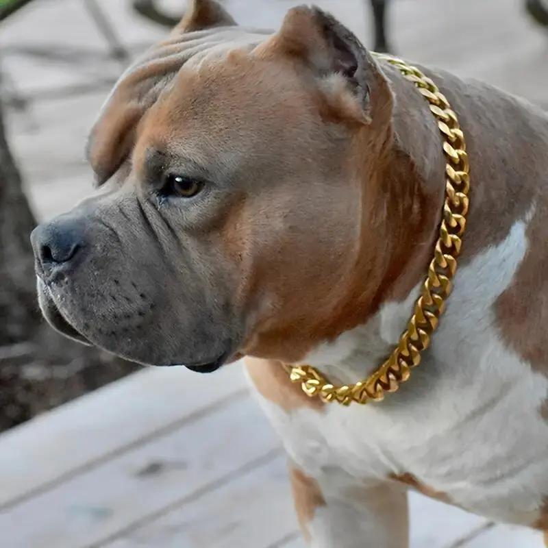 Pet Dog & Cat Collar - 10mm Thick Chain, Gold Plated Over Alloy Miami Cuban Chain, Solid Alloy Base, 16"-30" Fit Range, Elegant Luxury Look, Gold/Silver High-Quality All-Season Pet Accessory