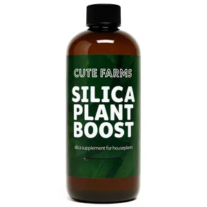 Silica Plant Boost – Liquid Silica Supplement for Stronger, Healthier Houseplants
