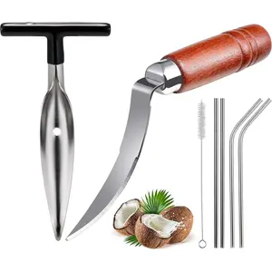 Stainless Steel Coconut Opener Tools Set with Puncher, Straws, Brush, Wood Handle Coconut Meat Remover for Green & Young Coconut