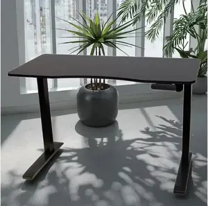 Height Adjustable Electric Standing Sit Stand Desk Frame Metal Iron Ergonomic Home Office Apartment Computer Desk