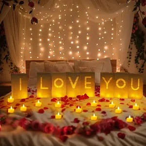 I Love You Light Up Letters Proposal Decorations with Flameless Candles and Fake Rose Petals, Valentine's Day Luminary Bags Romantic Decorations Special Night for Wedding Anniversary Led Signs Led Lighted summerwins