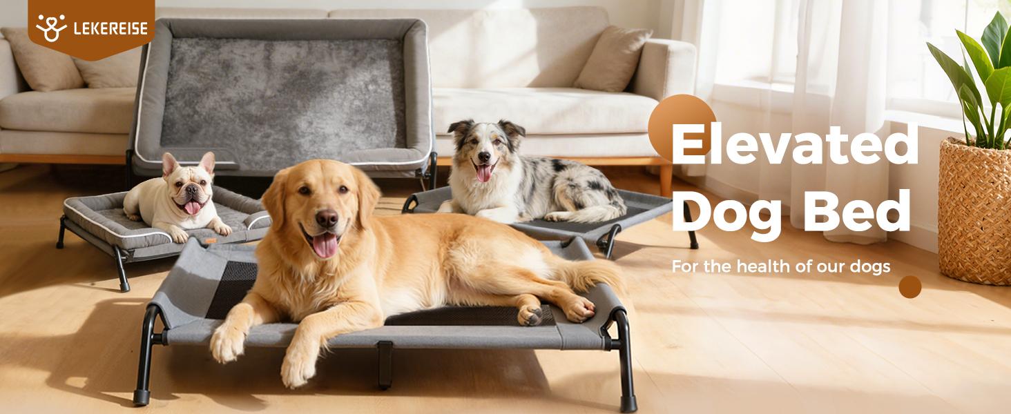 Lekereise Raised Outdoor Medium Dog Bed Cot + Orthopedic Indoor Dog Sofa Bed, 2-in-1 Design,39 x 29 Inch Cooling Elevated Puppy Bed with Egg-Crate Orthopedic Foam Load 70lbs