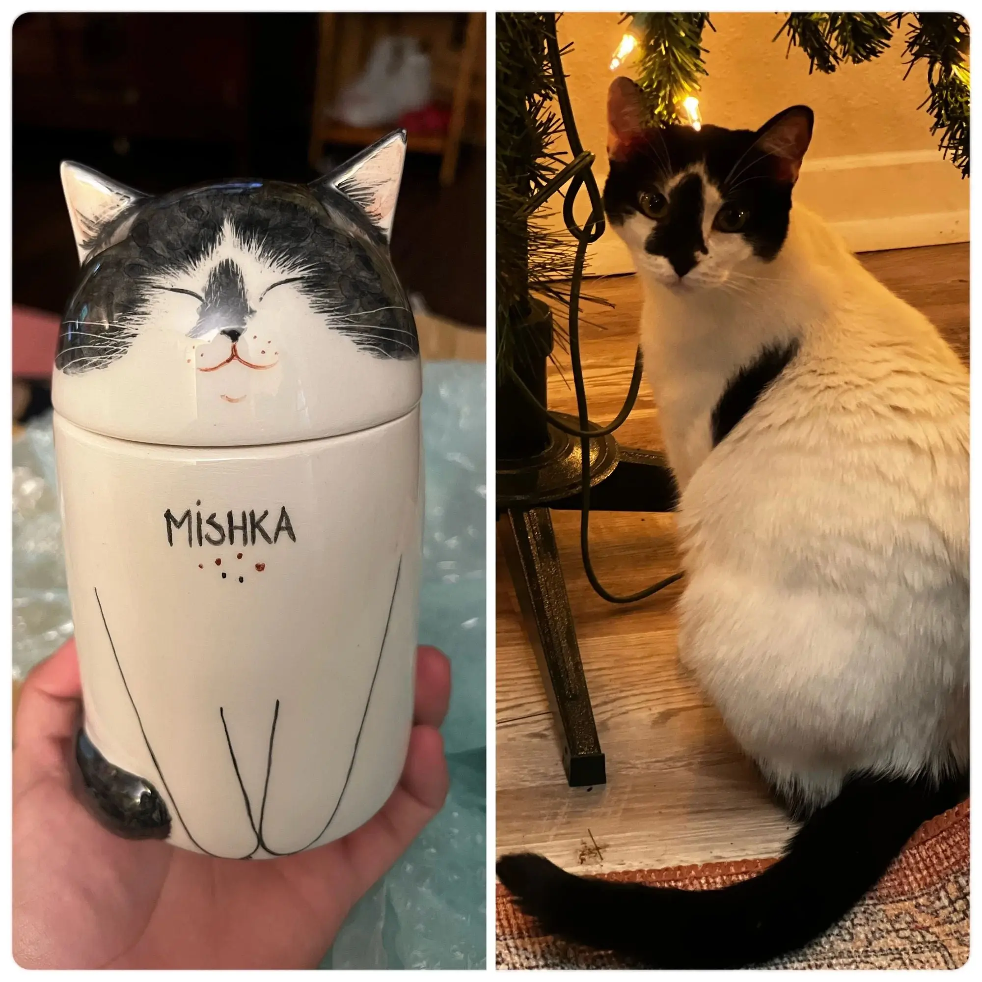 Cat urn | Pet urn| Pet ornaments