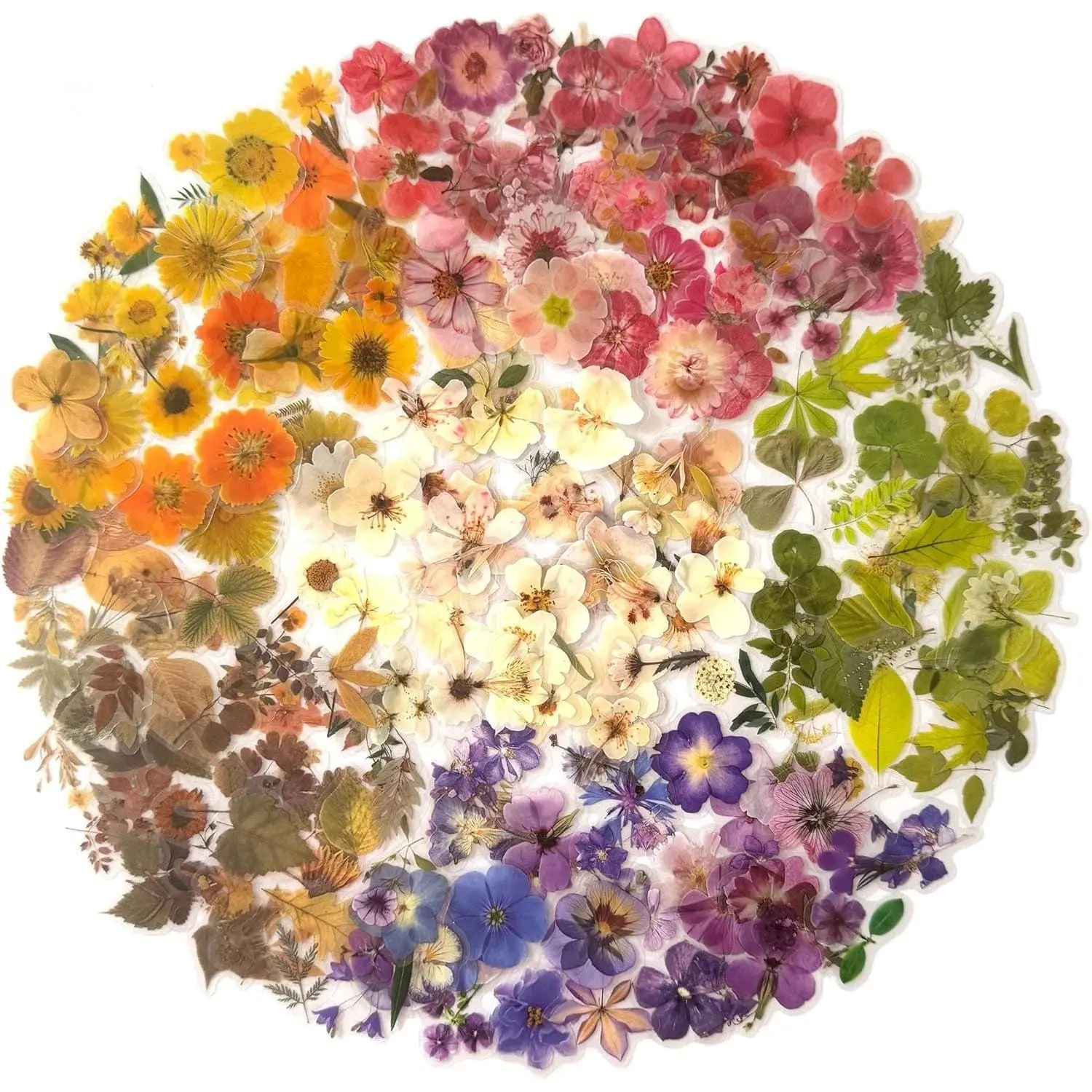 270-Piece Waterproof Dried Floral Botanical Sticker Set - Durable Adhesive, Transparent, Dried Floral Themed Office Stationery Supplies for Scrapbook, Journaling (1.42 in/3.6 cm), Durable Adhesive Stickers, Floral Pattern Sticker