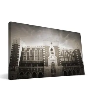 Paulson Designs  Texas Tech Jones AT & T Stadium Canvas, 16 x 36 in.