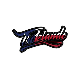 Small Lettering Decal - TEXAS