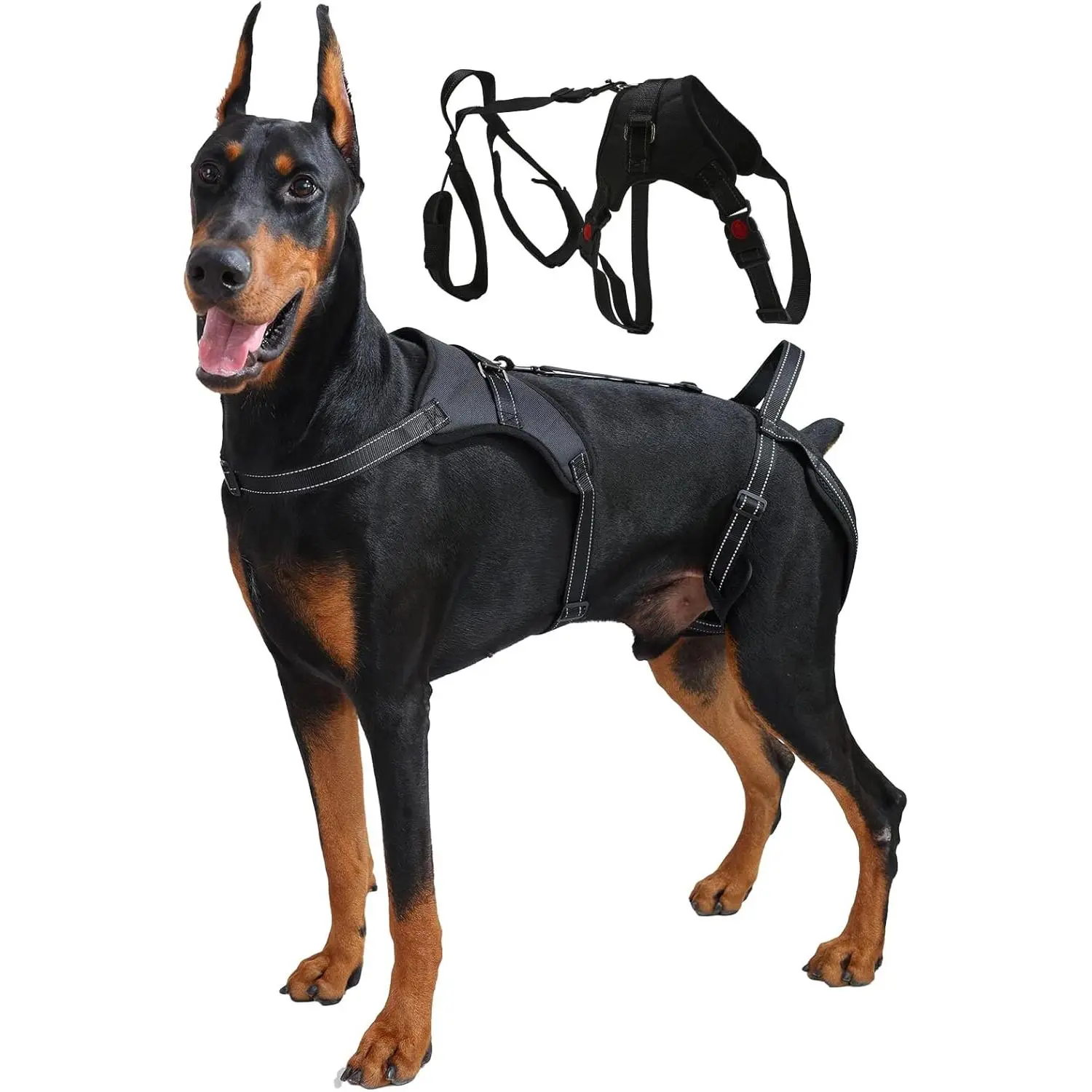 Cotton Mesh Multi-Functional Dog Lift Harness - Collars & Harnesses Mobility Aid, Full Body Support Vest for Front-Rear Lifting, Machine Washable for Large Senior Dogs