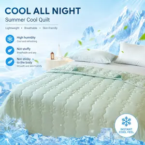 1 x Cool, soft and skin-friendly summer duvet; thickened all-season air-conditioning duvet; machine-washable; large queen size for a unique summer experience; available in multiple sizes; Fluffy duvet insert; all-season duvet; summer cooling duvet;