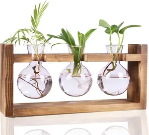 Glass Plant Terrarium With Retro Wood Stand 3 Bulbs Propagation Station Desktop Plant Vase Home Garden Decor Gift