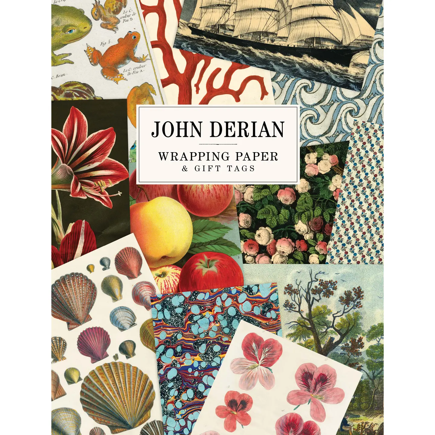 John Derian Paper Goods: Wrapping Paper & Gift Tags by John Derian