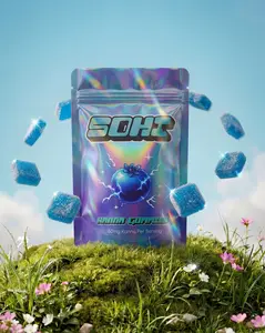 SOHI Social Kanna Gummy – Blue Razz | Kanna Extract + L-Theanine + Caffeine | Calm Social Energy | 12 Gummies