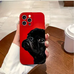 Phone case: Shockproof and anti-fall protective cover, a birthday gift suitable for both men and women, compatible with iPhone 17 Pro/16 Pro Max/15 Plus/14/13/12/11/XS/X/7/8 Plus, printed liquid-like phone case