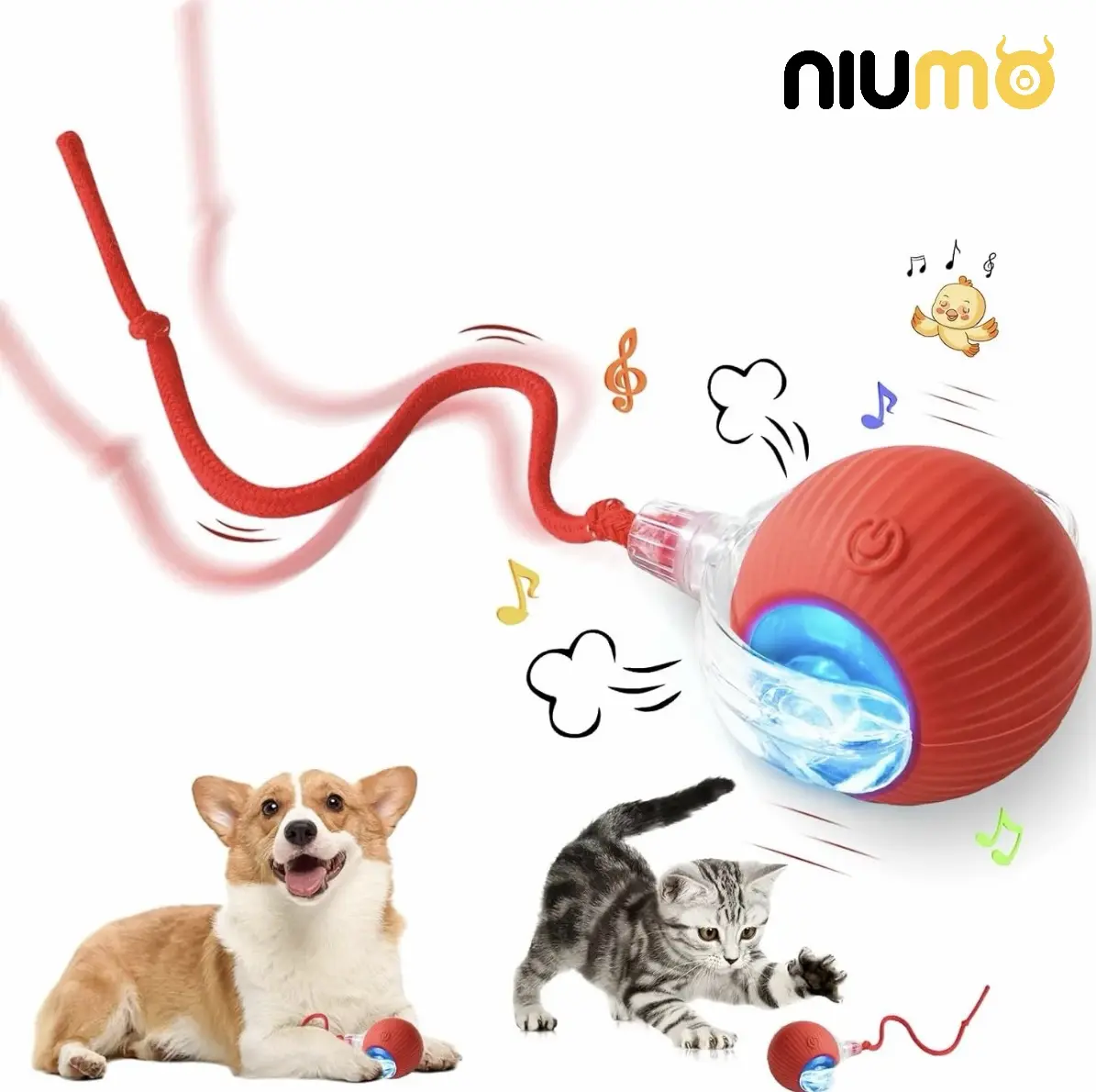 NIUMO Cat Toy Ball,Gift For Pets, Electric Cat Toy Ball with Rope, Interactive Cat Teaser Toy, Automatic Rolling Ball Toy, Pet Supplies, Dog & Cat Accessories, Valentine's Day Gift