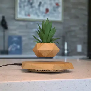 Levitate Things Platform