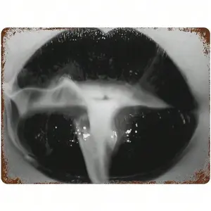Aluminum Retro Lips Art Poster Black And White Wall Decor Modern Home Living Room Bedroom Aluminum Framed Canvas 30x40 Inches