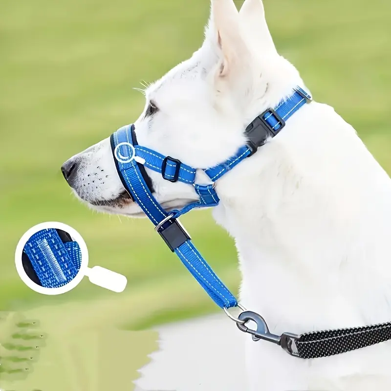 Adjustable Dog Head Collar with Leash – No Pull Training Muzzle Harness for Large Dogs Like Labrador & German Shepherd, Durable Nylon Adjustable Stainless Steel Martingale Collar