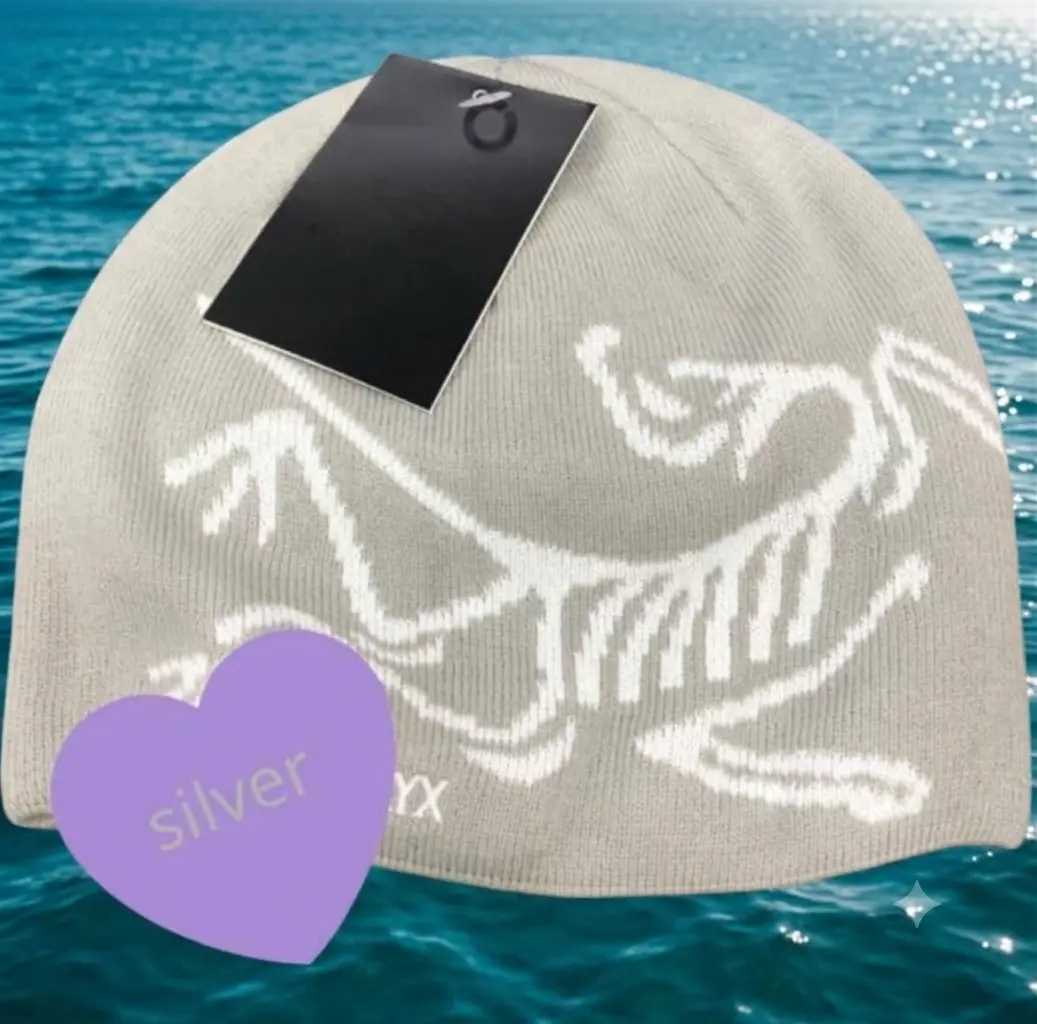 Arc'teryx Bird Skull Beanie – Premium Knit Winter Hat | Warm Stretch Unisex Ski, Snowboard, Hiking & Streetwear Beanie Gray