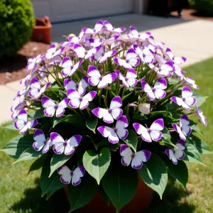 Butterfly Bush Seeds - Beautiful Perennial for Easy Outdoor Gardening All Seasons Easy to Grow Year-Round Charm