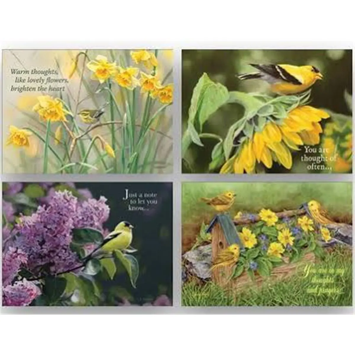 Crown Point Graphics Christ-Centered Inspirational Greeting Cards - 2-Birds Shared Blessings Card Design, Box Set of 12 Office Stationery, Thoughtful Gift for Family/Friends