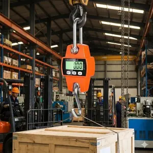 Portable Handheld Digital Crane Scale 660lbs Heavy Duty Industrial Capacity High Precision IP65 Waterproof Shockproof Cast Aluminum Shell for Logistics Lifting Outdoor Fishing Hunting Farm Commercial Weighing Tools