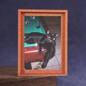 Cat Element Refrigerator Magnet, Kitty, Perfect for Living Room, Study, Bedroom, Great Holiday Gift, Decorative Kitchen Accessory