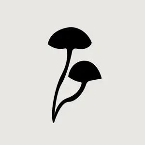 Auri Nutrition shop logo
