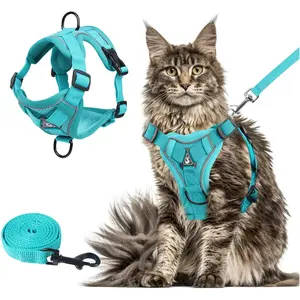 Cat Dog Universal Harness and Leash Set, Harness Leash Combo, Reflective Straps, Adjustable Soft Mesh, Breathable Holes, Ideal for Daily Walks or Training