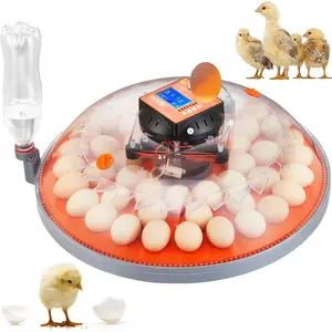 Father's Day Gift VEVOR Egg Incubator, 48-Egg Capacity, Features 360 °   Rotating Egg Tray, Temperature & Humidity Readouts, Durable ABS Clear Casing, Ideal for Chicken, Duck, Quail Eggs