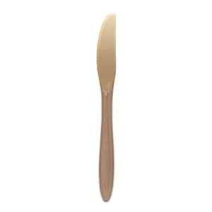 Cutlery Lexan Knife