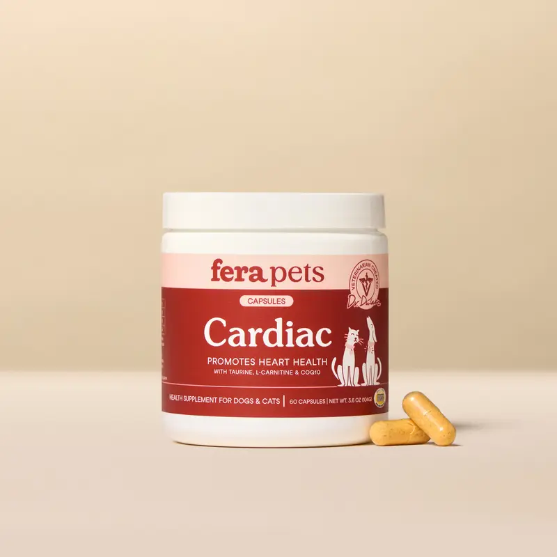 l carnitine for dogs - TikTok Shop