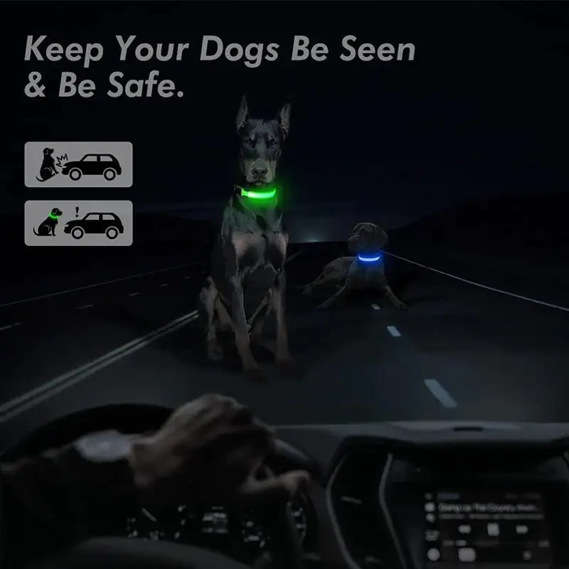 LED Adjustable Dog Collar with Blinking Flashing Light Up Glow for Pet Safety Waterproof Illuminated Leash by US Seller Fast Shipping From USA