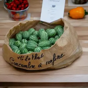 70pcs Cucamelon Seeds - Experience the Taste of Mexican Sour Gherkin Mini Thumb Watermelons in Your Home Garden