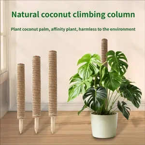 2 Piece Set Climbing Plant Moss Stick Coconut Fiber Rods, Vine Support Pole for Rattan Turtle Bamboo Palm Column Garden Stands, Climbing Plants Outdoor