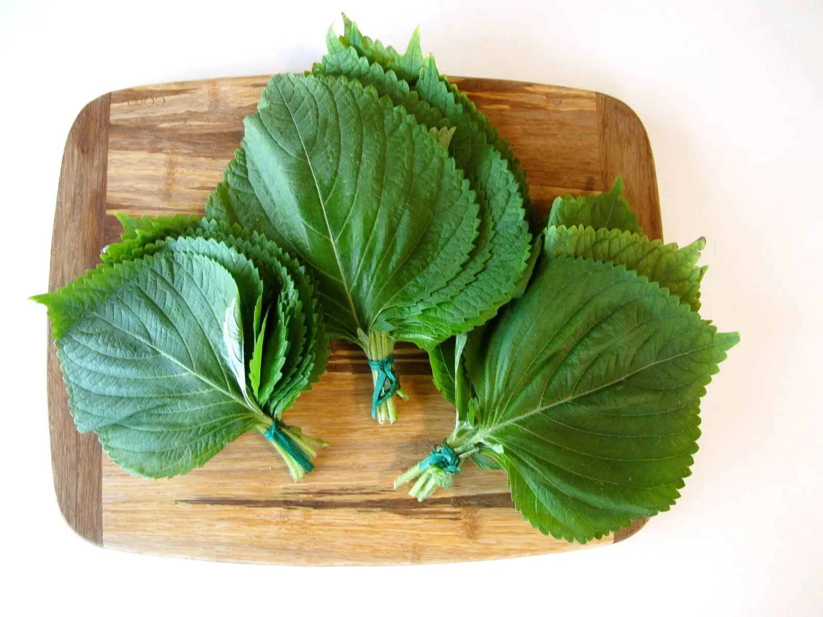 TomorrowSeeds - Korean Perilla (Shiso) Seeds -  Kaennip Sesame Beefsteak Leaf Green Purple Basil Mint Herb Asian Vegetable Seed For 2024 Season